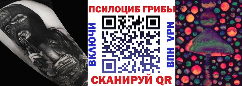 Купить закладки  Полевской  Галлюциногенные грибы Psilocybine cubensis 